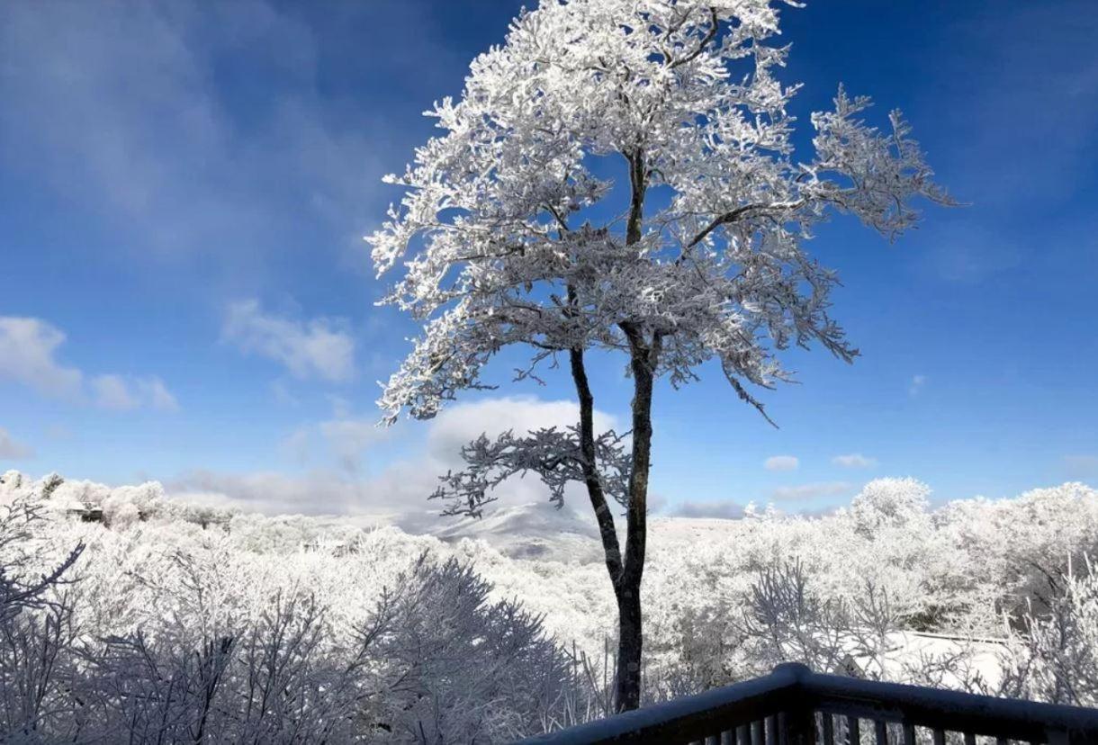 فيلا Bearadise Cabin شوغر ماونتين المظهر الخارجي الصورة